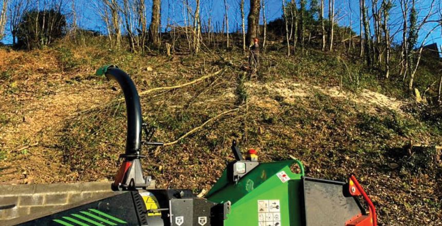 rooted-tree-landscapes-greenmech